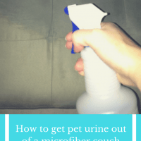 Getting Pet Urine Odor out of a Microfiber Couch