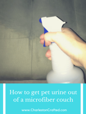 Getting Pet Urine Odor out of a Microfiber Couch - Charleston Crafted