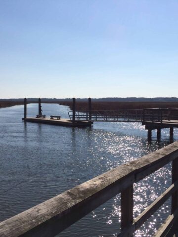 James Island County Park - Charleston Crafted