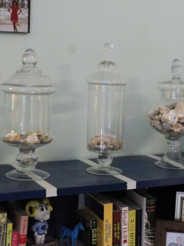 Seashell Display Shelf - Charleston Crafted