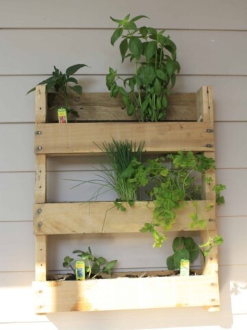 Vertical Herb Garden - Charleston Crafted