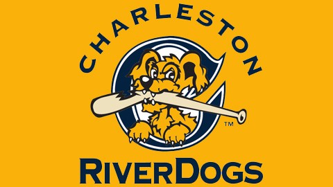 Water safety with the Charleston RiverDogs > Charleston District