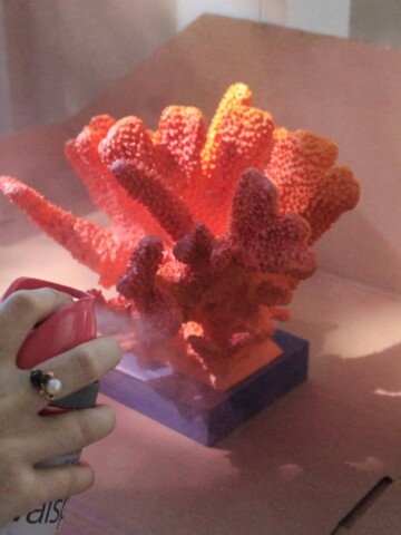 Spray Painting Coral - Charleston Crafted