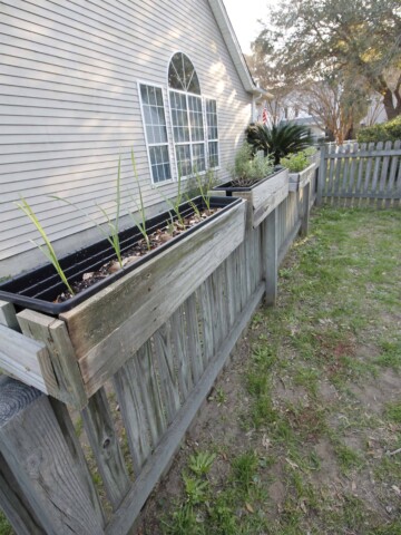 DIY Hanging Fence Planters - Charleston Crafted