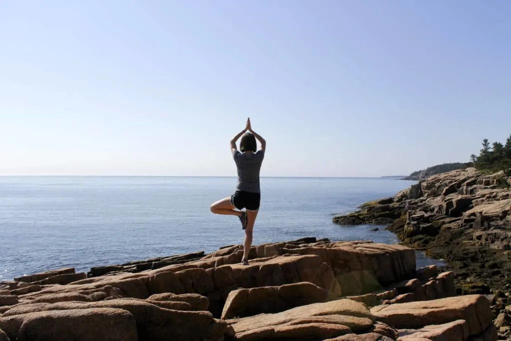 Acadia National Park - Charleston Crafted