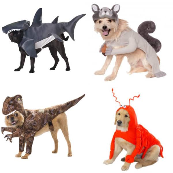 Twenty Awesome Pet Halloween Costumes