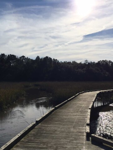 Francis Marion National Forest Sewee Shell Ring Trail - Charleston Crafted