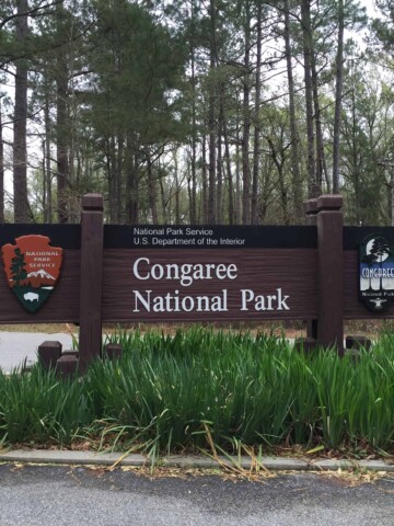 Congaree National Park - Charleston Crafted