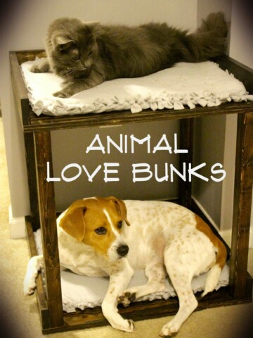 Pet Bed Love Bunks - Charleston Crafted