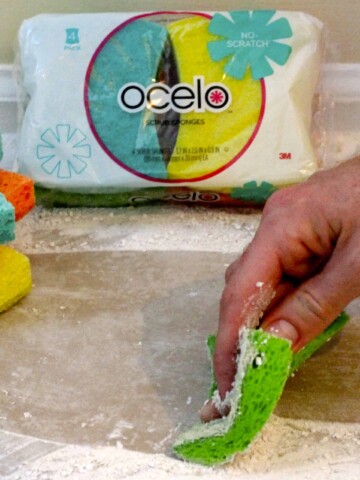 #GiveitaSparkle - ocelo Sponges - Charleston Crafted