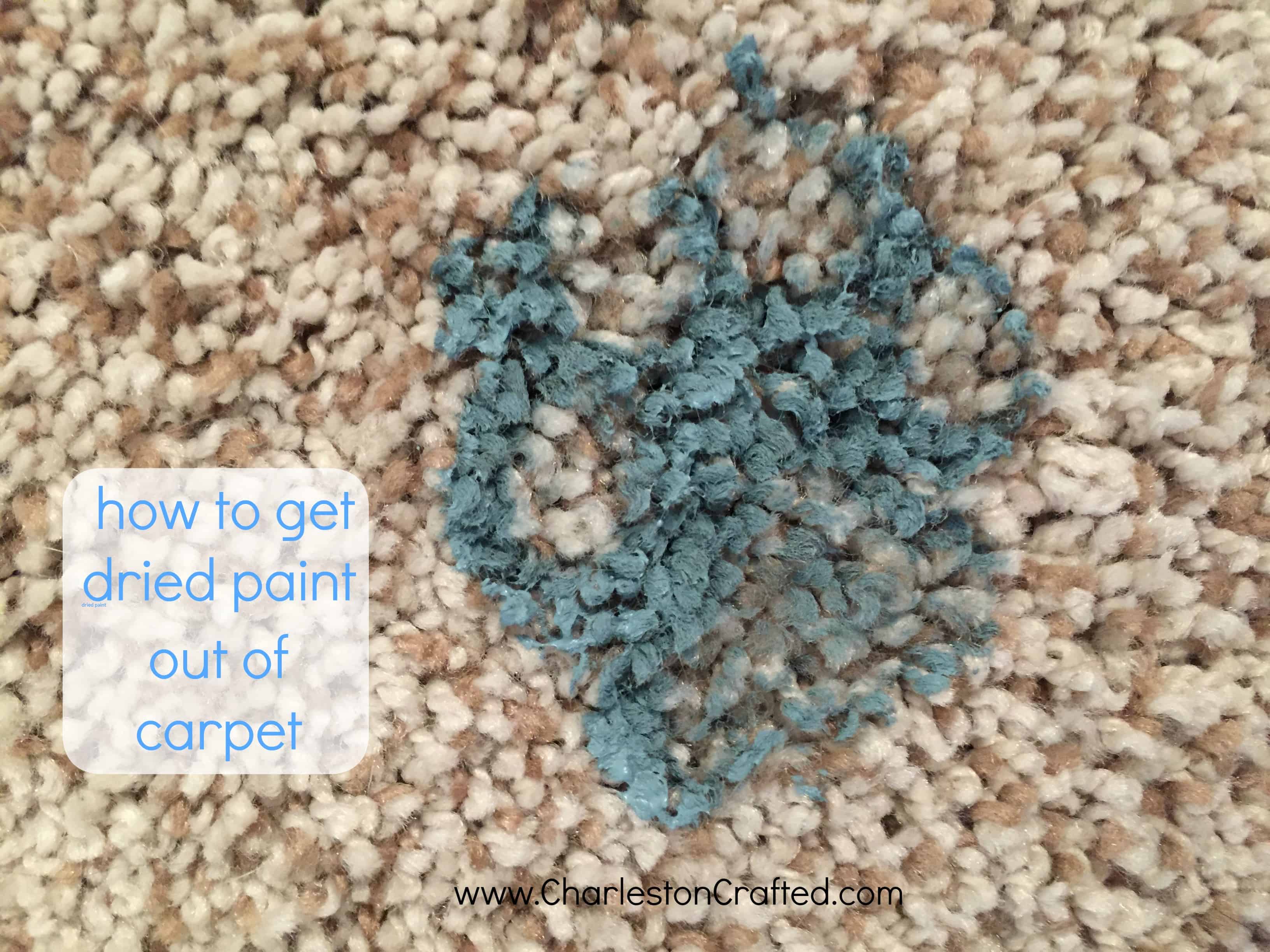 How To Get Paint Out Of Carpet