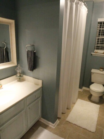 Guest Bathroom Mini-Makeover - Charleston Crafted