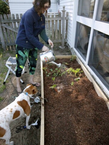 How to build a DIY raised garden bed - Charleston Crafted