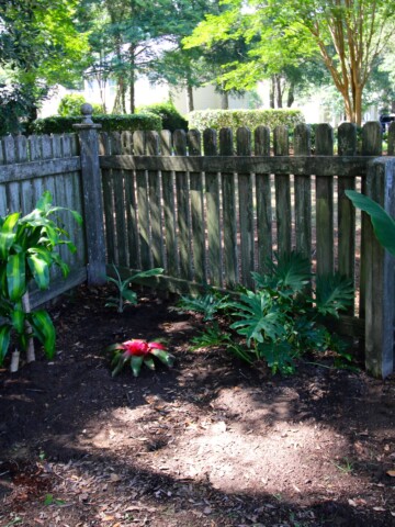 Prepping for our tropical yard corner - Charleston Crafted