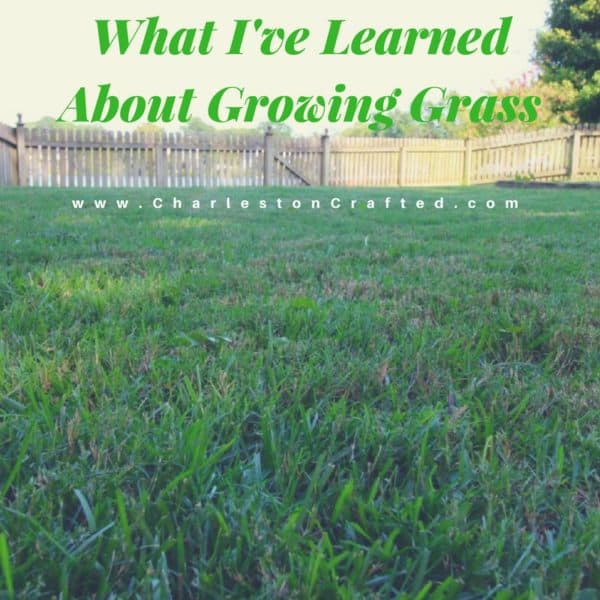 What I've learned about growing grass