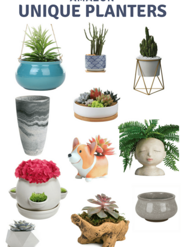 11 Unique Planters from Amazon via Charleston Crafted