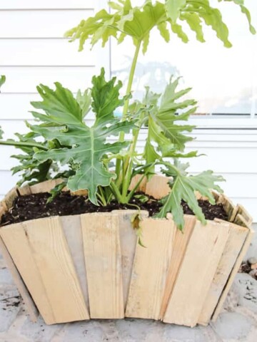 Scalloped Pallet Wood Planter - Charleston Crafted