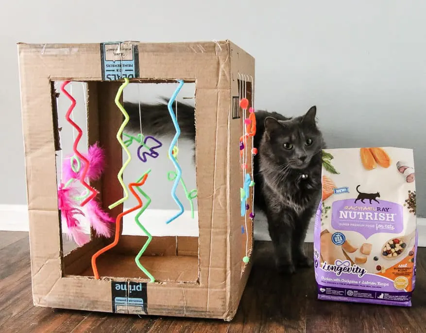 DIY Puppy Dog Food Dispenser from Cardboard at Home 