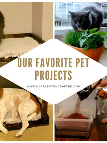 Our Favorite Pet Projects - Charleston Crafted