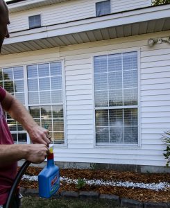 How to Clean Outdoor Windows