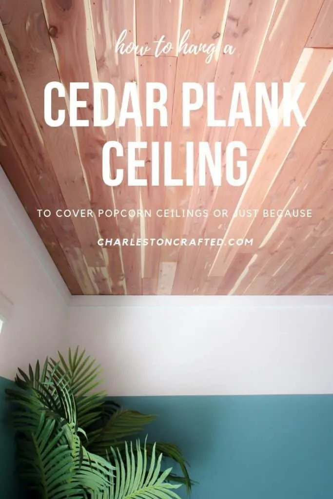 CedarSafe Red Cedar Aromatic Cedar Tongue and Groove Wall Plank