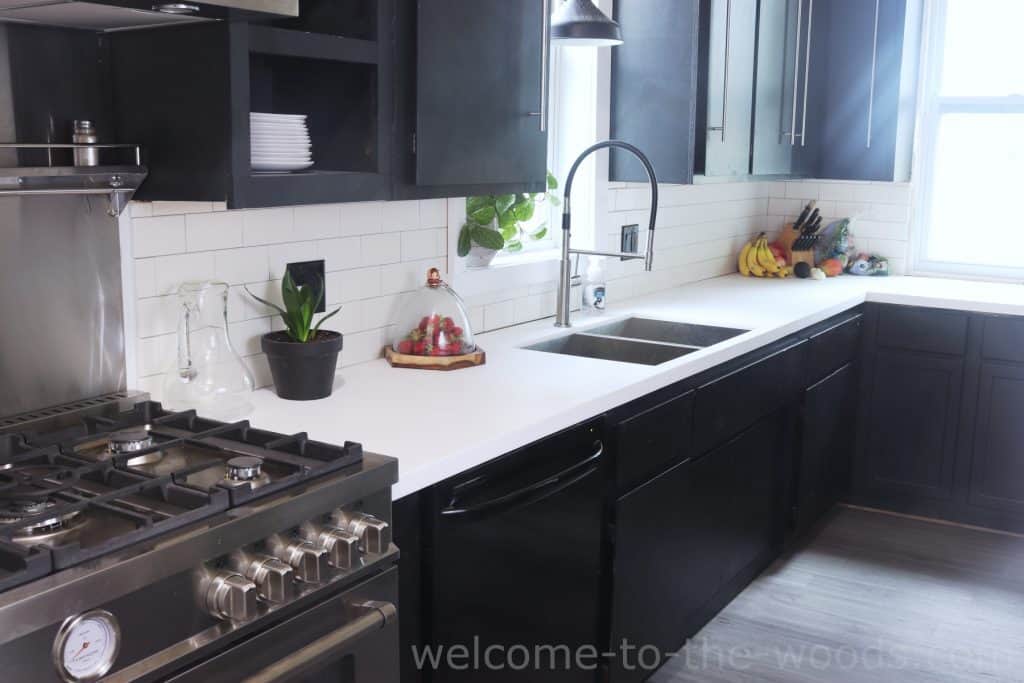 15 Inexpensive DIY Countertop Ideas For 2024   IMG 8542 1024x683 