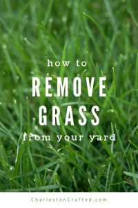 How to remove grass - 4 easy DIY methods!