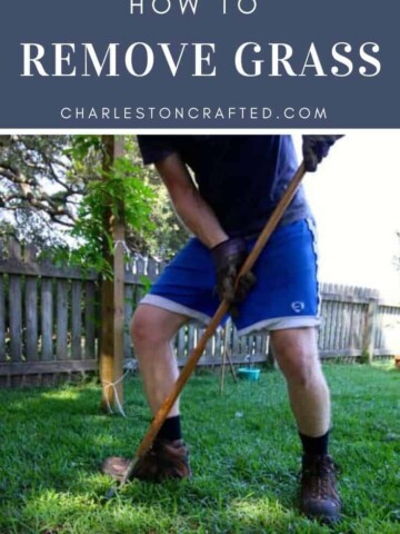 how to remove grass the best way