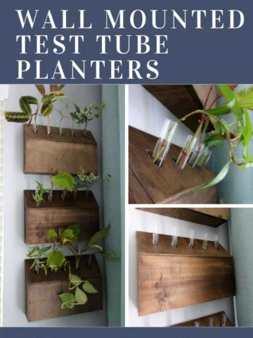 DIY wall mounted test tube planter propagation station