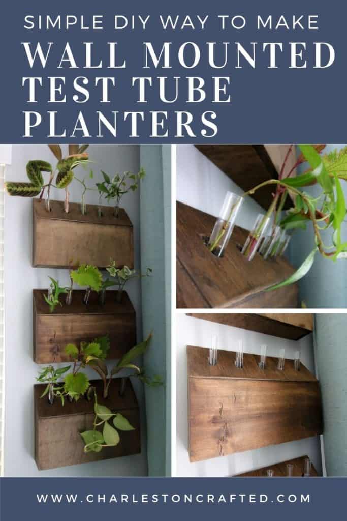 How to Build a Wall-Hanging Test Tube Planter