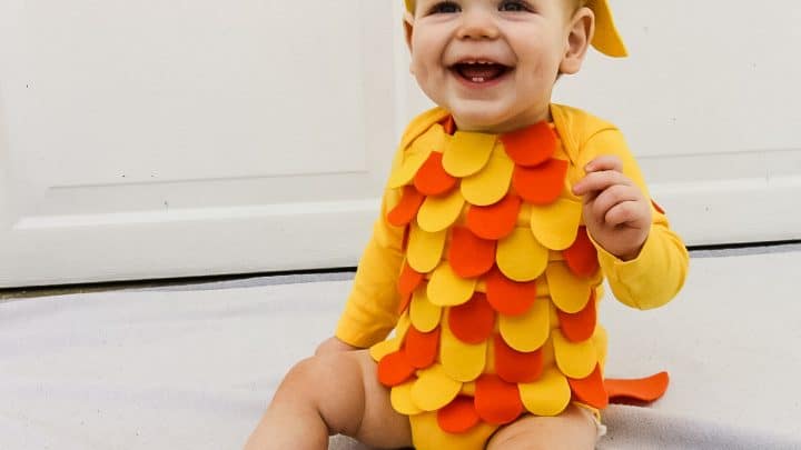 Baby Fish Costume 