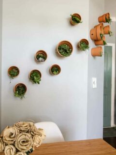 DIY Indoor Plant Wall