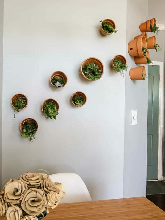 How to create a plant wall with terra cotta plants