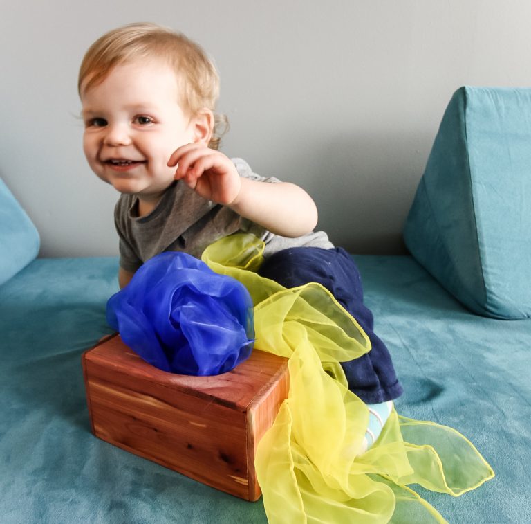 tissue box toy