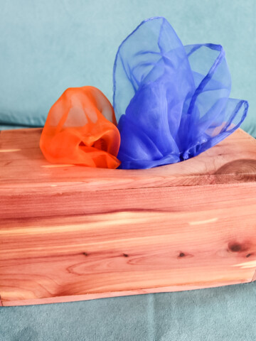 DIY Magic Tissue Box - Charleston Crafted