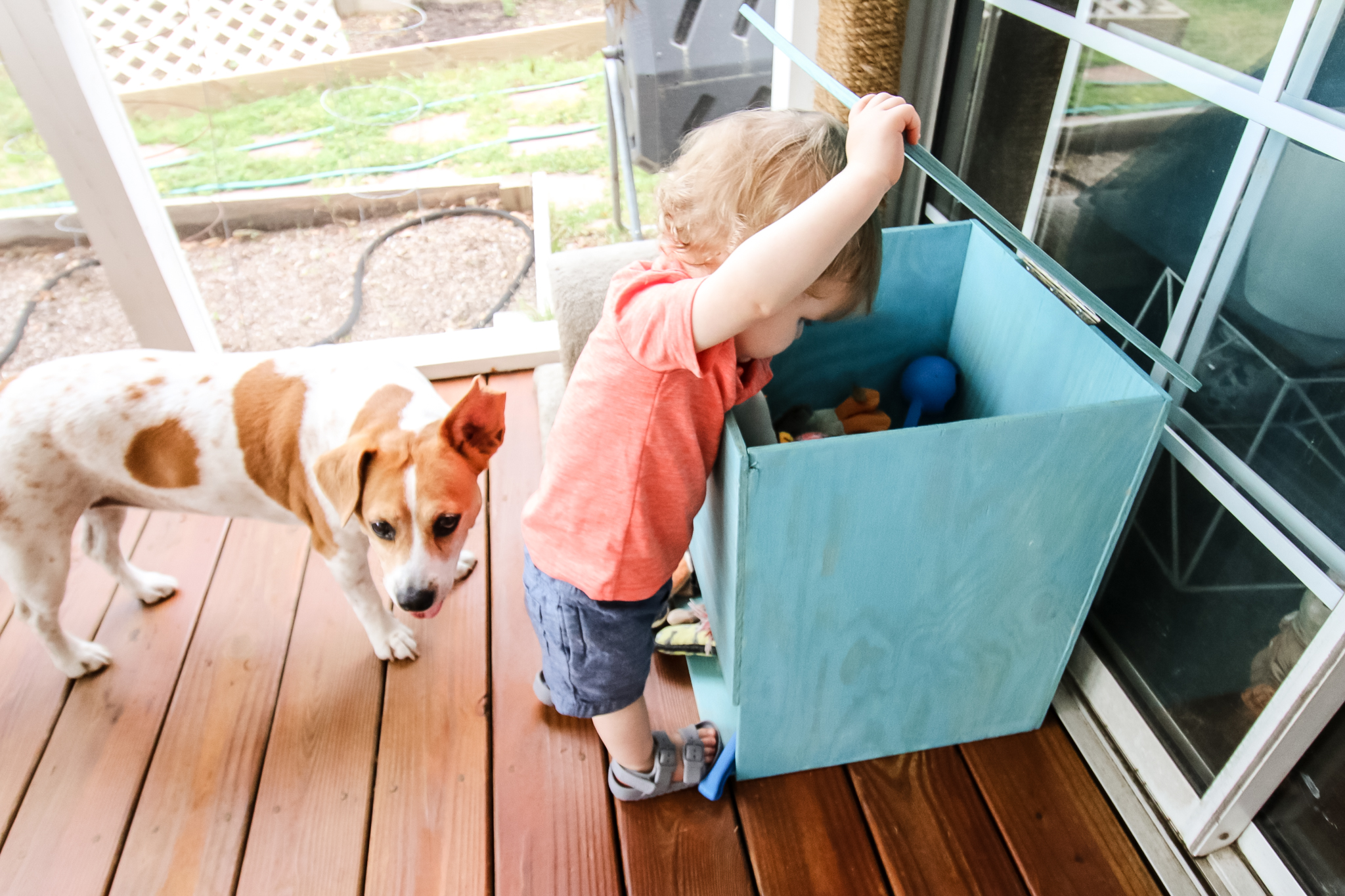 outdoor dog toy storage