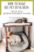 DIY Pet Bunk Bed - PDF Woodworking Plans