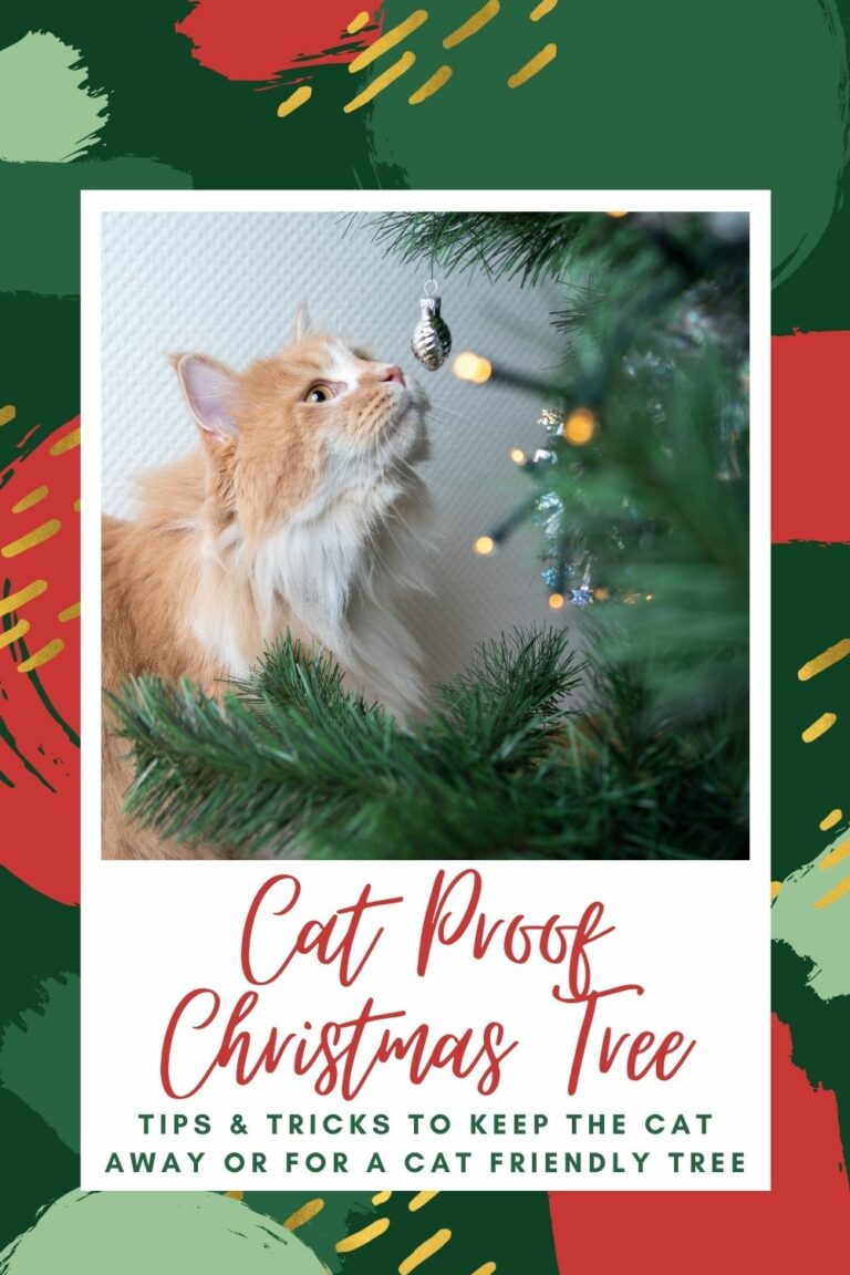 How To Keep Cat Out Of Christmas Tree 