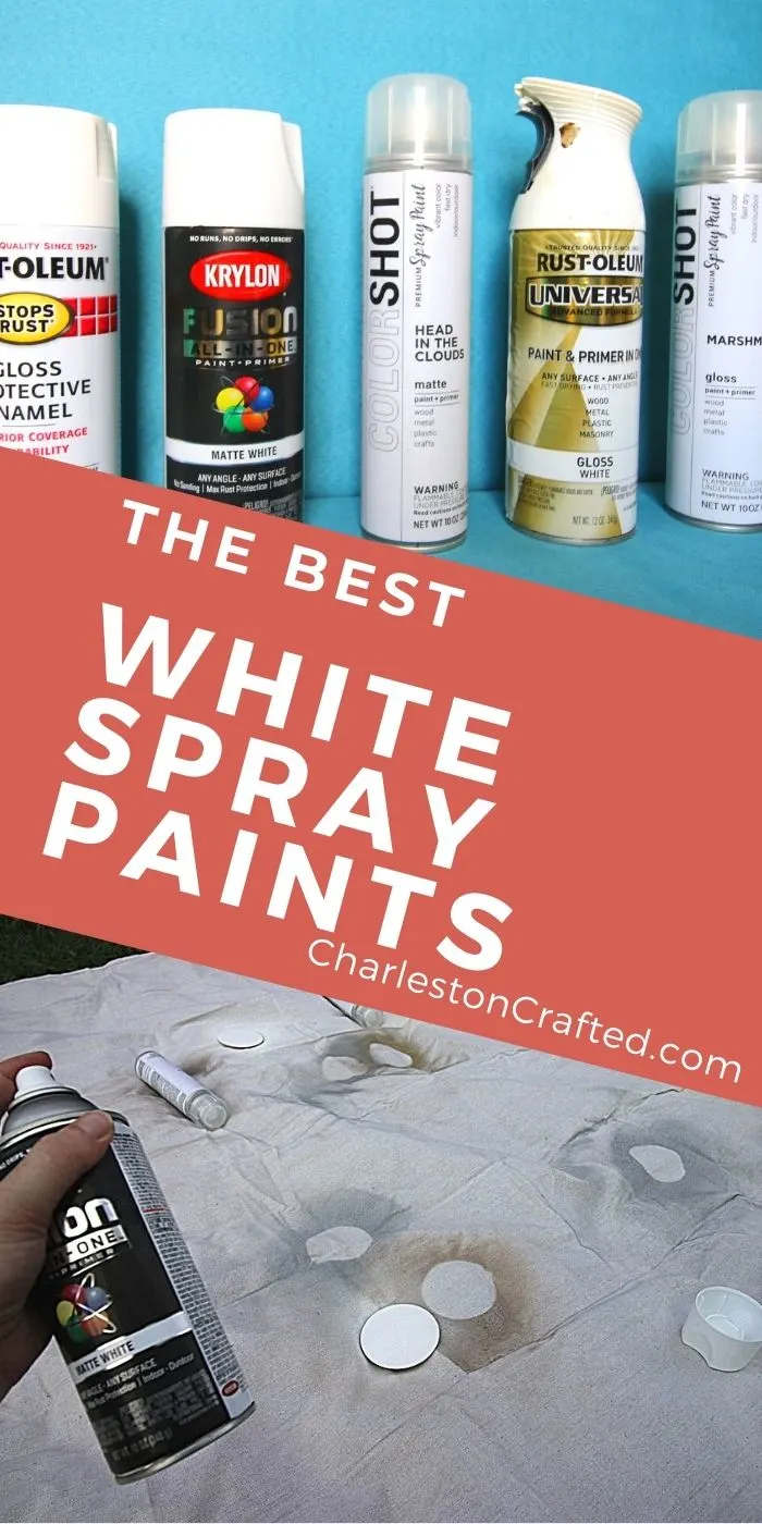 Spray Paint and Primer - Gloss White