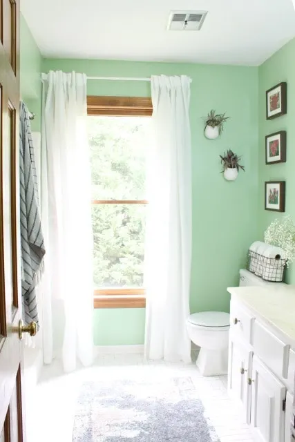 The 10 Best Green Paint Colors to Brighten up Your House