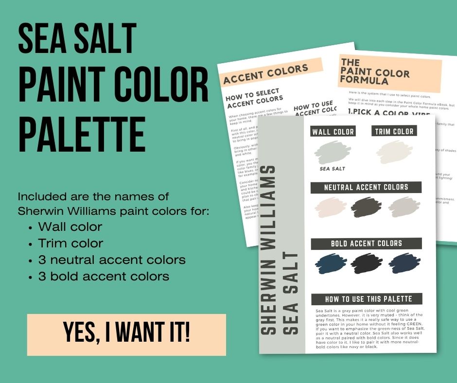 sea salt paint-color-palette-inline-promotion-image