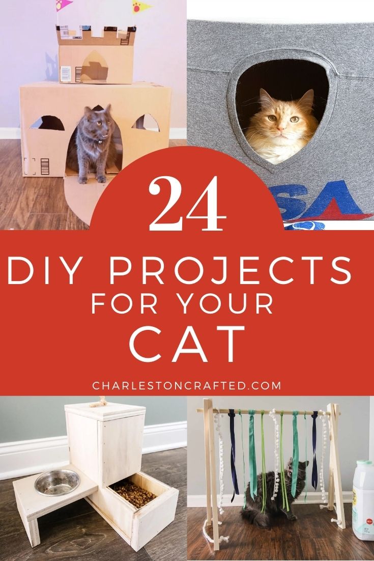 https://www.charlestoncrafted.com/wp-content/uploads/2022/03/24-DIY-projects-for-your-cat.jpg