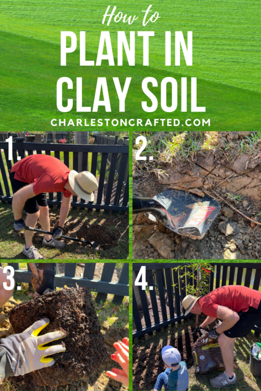 How to plant in clay soil