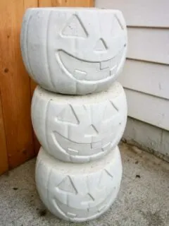 concrete pumpkins cover photo for google web stories