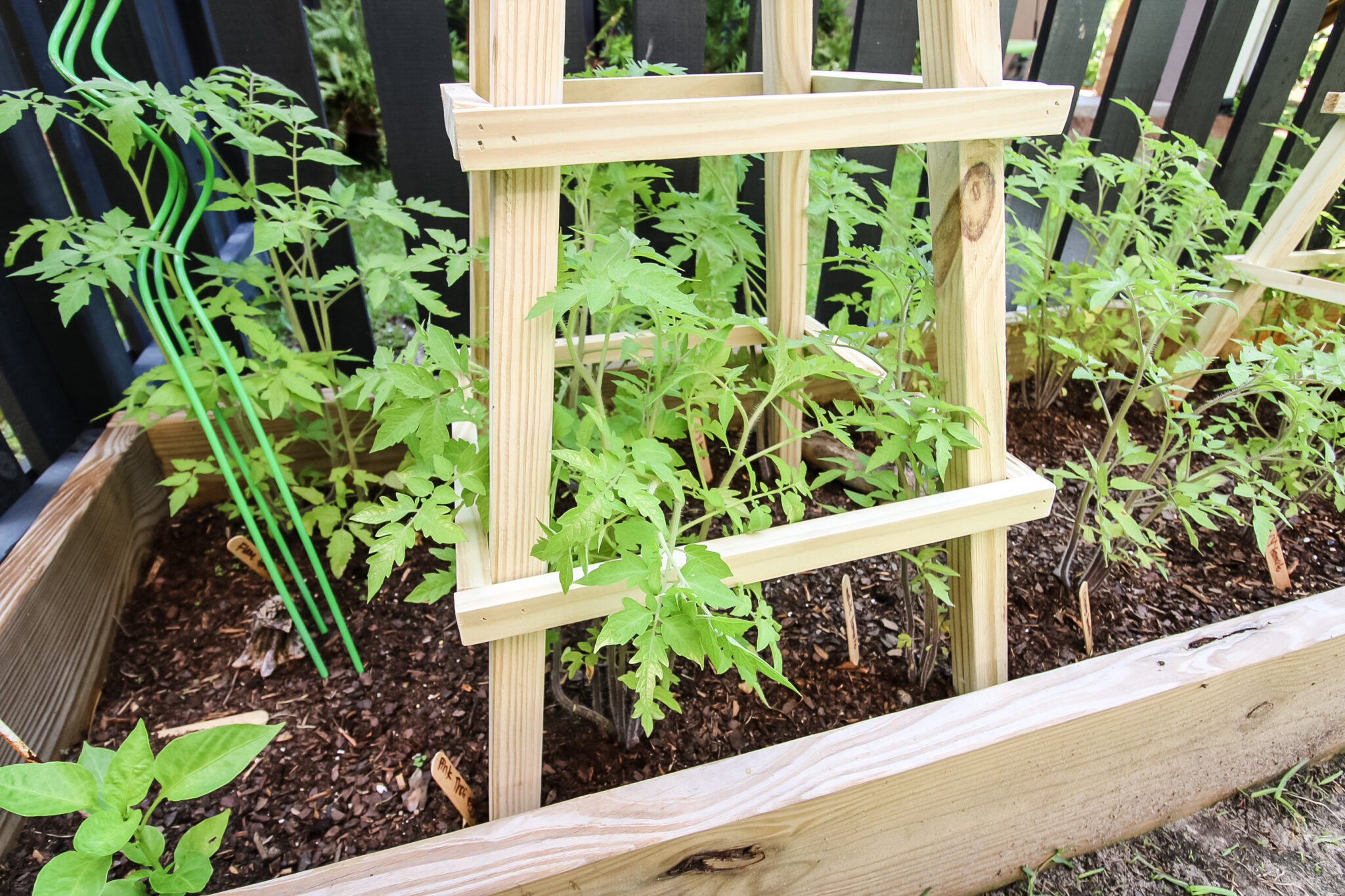 How to build a DIY wooden tomato cage