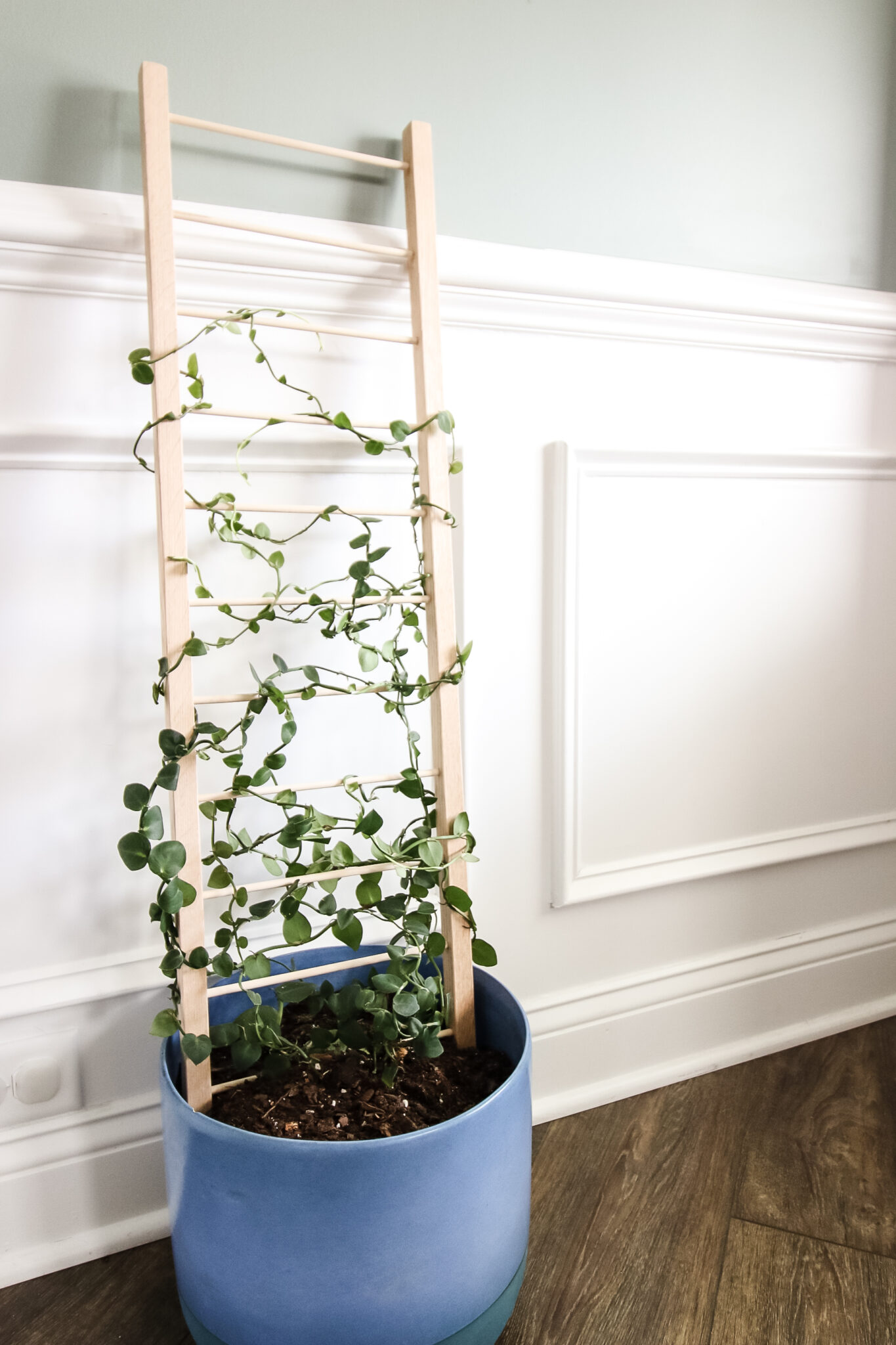 Diy Indoor Plant Trellis For Pots 9001