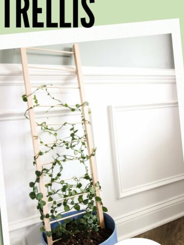 DIY indoor plant trellis for pots - Charleston Crafted