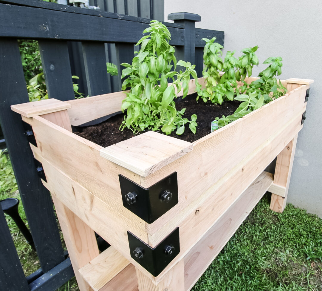 How To Build A Diy Elevated Garden Bed