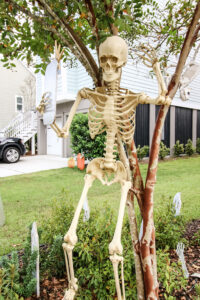 10 skeleton pose ideas for your yard