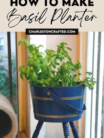 How to make a basil planter